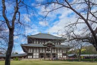 奈良东大寺导览徒步游 - Thumbnail 4