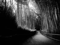 京都鬼怪之旅：竹林之夜 - Thumbnail 1