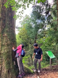 篠栗森林疗愈与曼陀罗餐 - Thumbnail 4