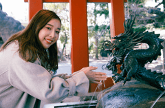 1 Hour Private Photoshoot in Kinkakuji, Kamigamo Shrine, and Ryoanji Temple