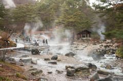 1 Hour Private Photoshoot in Zao Onsen
