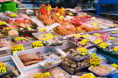 筑地鱼市场美食步行之旅