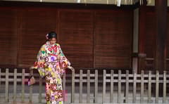 1 Hour Private Photoshoot in Nikko