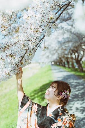 Kinari - Temple golden hour