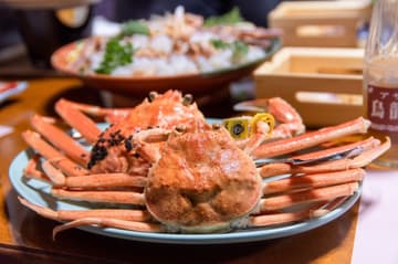 福井县居酒屋夜游之旅