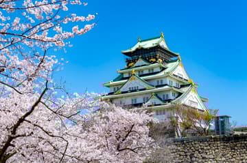 오사카 에센셜: 핫스팟 & 숨겨진 보석