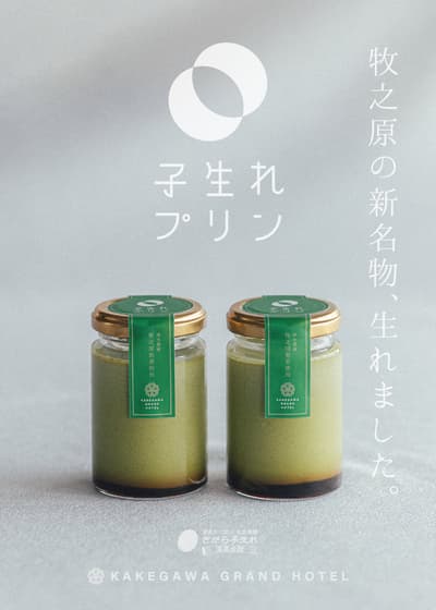 Sagara Koumare Onsen Hall Launches Sencha Pudding "Koumare Purin" on June 6 Using Makinohara Tea