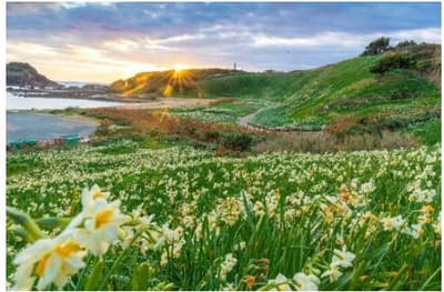 THE ROYAL EXPRESS Izu Journey presenta sus planes para el invierno de 2027, incluido un nuevo crucero de 3 días por el oeste de Izu y el Monte Fuji
