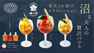 梅乃宿酒造与堀内果实园携手推出全新水果利口酒圣代，5月18日起发售