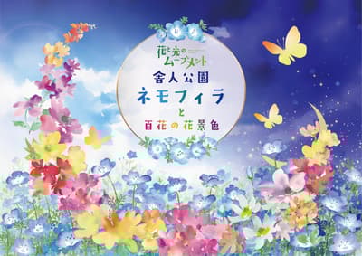 舎人公園「花與光」活動 — 粉蝶花與春季花卉盛開（2026年4月10日至26日）