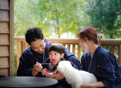 THE BASE GLAMPING YUGAWARA, 올여름 '유가와라 여름 마르셰' 개최