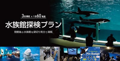 鸭川海洋世界特别夜间水族馆探险计划 - 每日限定60人