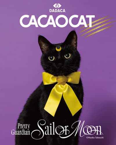 CACAOCAT × Pretty Guardian Sailor Moon Collaboration Round 2 Brings New Chocolates for Three Months in a Row From November