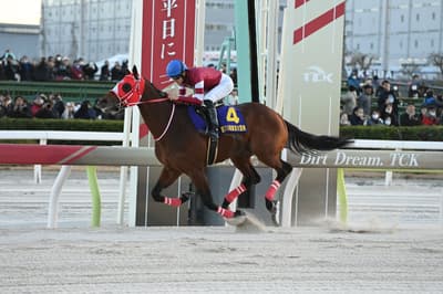 第71回東京大賞典（G1）出走馬及排位決定！12月29日上演3歲馬 vs. 老馬高水準對決，共16匹駿馬參戰