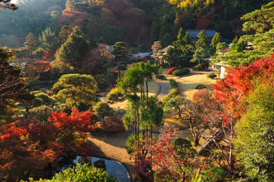 Sanyoso di Izu-Nagaoka Onsen Memperpanjang Kafe Taman Jepang, Berlangsung dari 1 November hingga 20 Desember 2026