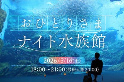 仙台海之森水族馆举办第15届"独自一人夜间水族馆"单人游览活动（2026年5月16日）