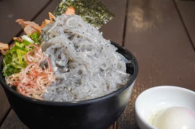 淡路岛二次元之森餐厅开启新鲜银鱼美食季