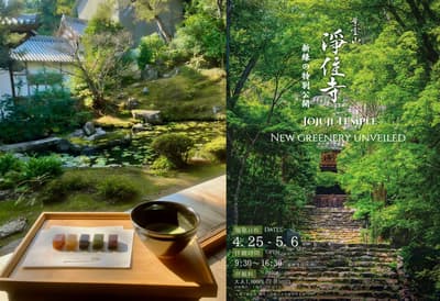 Jojyu-ji Temple in Kyoto Opens for Special New Greenery Season with Tsuruya Yoshinobu Wagashi Set (Weekends & Holidays Only)