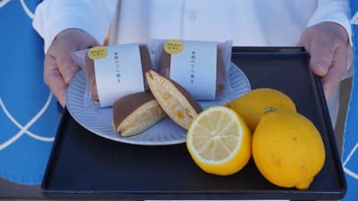 Toko Dorayaki Garam Persegi Pertama di Jepang "Yunoshio" Merilis Dorayaki Madu Lemon Garam Edisi Terbatas untuk Awal Musim Panas