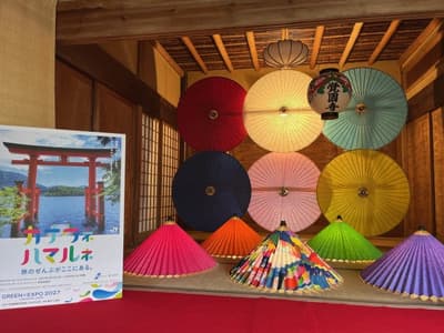 Kakuonji Temple in Kamakura Sets Up "Happy Rain Umbrella" Photo Spot with Illuminated Wagasa