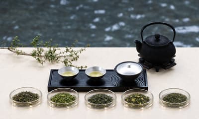 Rakushoin in Amagasaki, Hyogo Starts a 12-Part Tea and Food Pairing Seminar Series on October 28