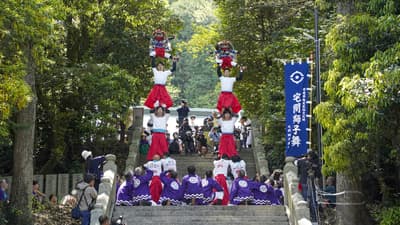 Torres humanas que alcanzan el cielo: Tsugizishi (danza del león en pirámide humana de Imabari) en los festivales de primavera de Imabari a partir de la Golden Week