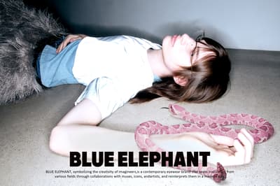 한국 아이웨어 브랜드 블루엘리펀트(BLUE ELEPHANT), 일본 골든위크 한정 프로모션 실시