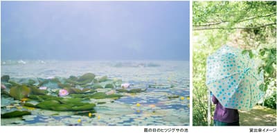 ROKKO 森之音博物館將於 2026 年 6 月 1 日至 7 月 17 日舉辦梅雨季社群媒體活動