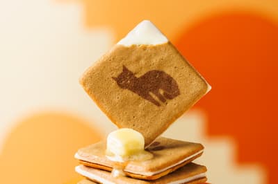 KOKUNEKO 推出全新“浓郁美味猫舌饼”，点缀趣味猫爪设计