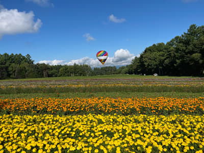 Ride a Hot Air Balloon Over YATZ GARDEN's 10-Hectare Flower Field in Nagano on September 22–23, 2026