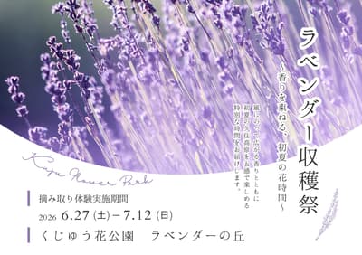 Kuju Flower Park Lavender Harvest Festival 2026 — Early Summer Fragrance on the Highland