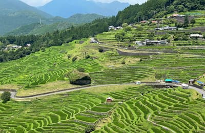 Fairfield by Marriott Mie Kumano-Kodo Mihama Guests Invited to Scarecrow-Making Workshop at Maruyama Senmaida Rice Terraces