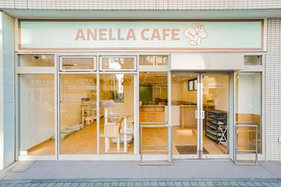 ANELLA CAFE 川崎站前店 - 作为全国第20家分店开业的救援犬猫咖啡厅