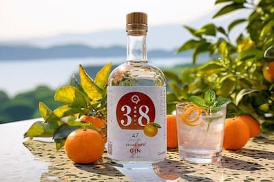 Ehime Craft Gin Featuring Nishiuwa Unshu Mandarin Now Available via CAMPFIRE