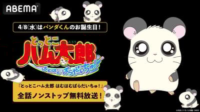ABEMA將免費連播《倉鼠小奇兵 嗨嗨天堂啾！》全103集，慶祝熊貓的生日