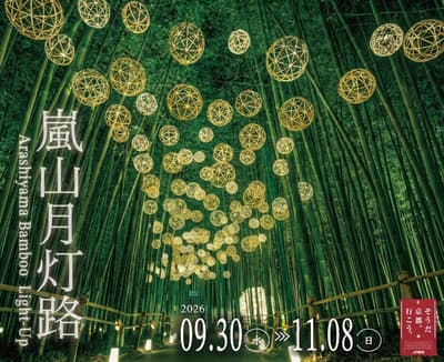 嵐山竹林燈光秀付費區預售票現已透過 EX 旅行預約開賣
