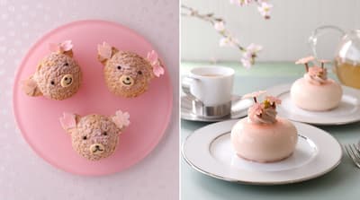 Joël Robuchon 2026 櫻花小蛋糕 – 全新小熊泡芙與季節限定櫻花慕斯