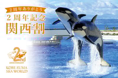 神户须磨海世界举办两周年纪念活动，关西居民专享优惠