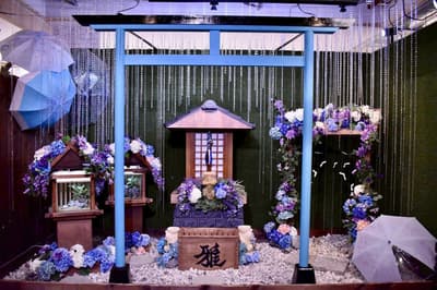 奈良生物博物館於 6 月 6 日舉辦雨季限定「青蛙神社」展覽