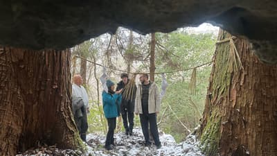 Merek Wisata Budaya Baru "NIIMI ORIGIN" Dibuka di Niimi, Okayama, Berawal dari Kuil yang Memuja Gua Batu Kapur