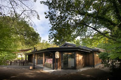 京都壽喜燒 十二段家 在圓山公園推出春季露台菜單，3月20日起迎接櫻花季