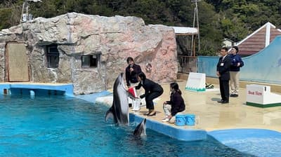 下田水族馆举行入职仪式——海豚欢迎4月1日新员工