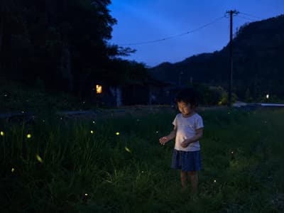 Washinmura in Futtsu, Chiba Reports the End of Its 2026 Firefly Season as Satoyama Summer Begins