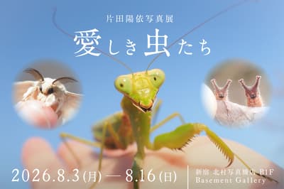 Insect Producer Hiyori Katada's Photo Exhibition "Beloved Insects" Opens at Shinjuku Kitamura Camera in August 2026