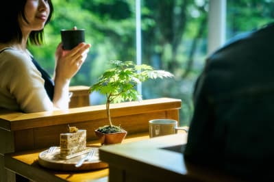 Hakone Retreat före & villa 1/f 将盆栽文化带入沉浸式住宿体验