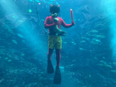 下田水族馆再次迎来“鬼怪潜水员”庆祝节分