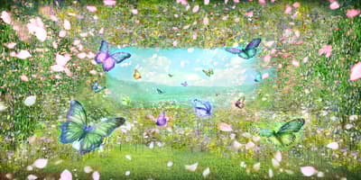 新宿吸血鬼沉浸式博物館開幕 – 透過五感體驗 ENHYPEN 的音樂世界