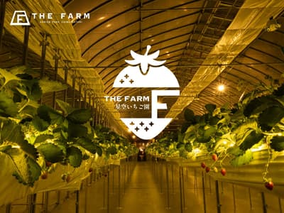 KEBUN THE FARM Taman Stroberi Langit Berbintang Dibuka 13 Desember 2025 untuk Musim Dingin