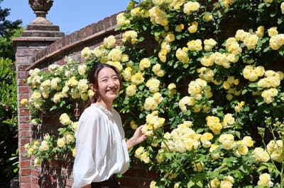 群馬縣太田市的「Aeris森林公園」——宛如英國電影場景的隱藏版玫瑰園