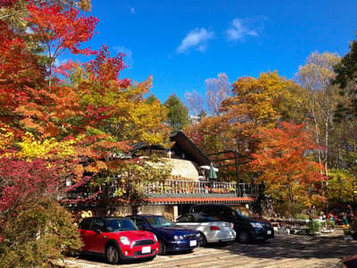 Un paseo otoñal al Yatsugatake Club en Yamanashi: senderismo por el bosque, té de frutas y artesanía